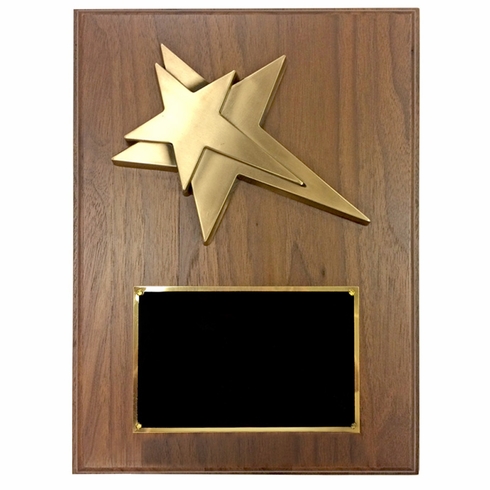 8 X 10 INCH MEDIUM SIZE MODERN STAR PLAQUE
