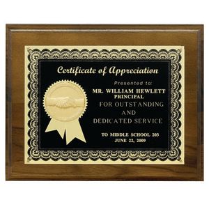 8 X 10 INCH PLAQUE WITH BLACK SCREENED PLATE, 2 INCH MEDALLION INSERT