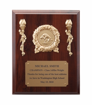 8 X 10 INCH PLAQUE WITH GOLD PLATE TAKES INSERT