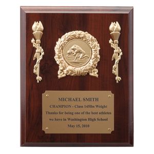 8 X 10 INCH PLAQUE WITH GOLD PLATE TAKES INSERT