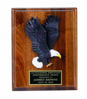 8 X 10 INCH PLAQUE WITH HAND PAINTED EAGLE AND BLACK PLATE