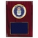 8 X 10 INCH U.S. AIR FORCE PLAQUE WITH 4 INCH EMBOSSED MEDALLION