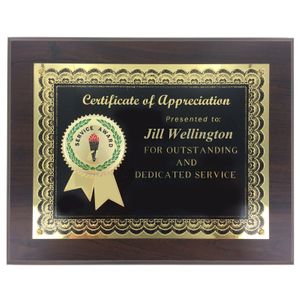 8 x 10" YEARS OF SERVICE PLAQUE 2" ETCHED BRASS MEDALLION ON BLACK SCREEN PLATE