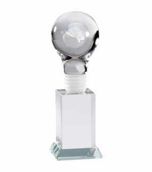 8 X 2-1/2 INCH OPTICAL CRYSTAL BRAIN POWER LIGHT BULB AWARD