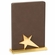  8 x 5-1/2 INCH BROWN LEATHERETTE STAR TROPHY ON METAL BASE