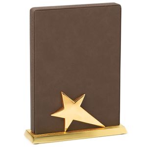  8 x 5-1/2 INCH BROWN LEATHERETTE STAR TROPHY ON METAL BASE