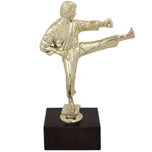 9-1/2 INCH MALE KARATE FIGURE TROPHY ON BLACK MARBLE BASE