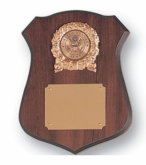 9-1/2 X 11-1/2 INCH SHIELD PLAQUE TAKES INSERT