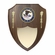 9-1/2 X 12 INCH DEPARTMENT OF JUSTICE GENIUNE WALNUT SHIELD PLAQUE WITH 4 INCH MEDALLION INSERT