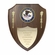 9-1/2 X 12 INCH DEPARTMENT OF JUSTICE GENIUNE WALNUT SHIELD PLAQUE WITH 4 INCH MEDALLION INSERT