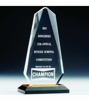 9 INCH CLEAR OBELISK ACRYLIC TROPHY