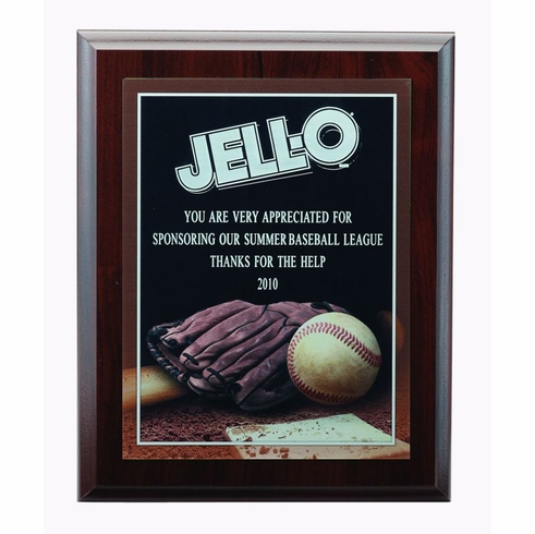 9 X 12 INCH BASEBALL PHOTO SPORTS PLAQUE WITH LASER ENGRAVED PLATE