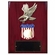 9 X 12 INCH EAGLE AND AMERICAN SHIELD PLAQUE HOLDS 2 INCH MILITARY INSERT