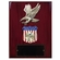 9 X 12 INCH EAGLE AND AMERICAN SHIELD PLAQUE HOLDS 2 INCH MILITARY INSERT