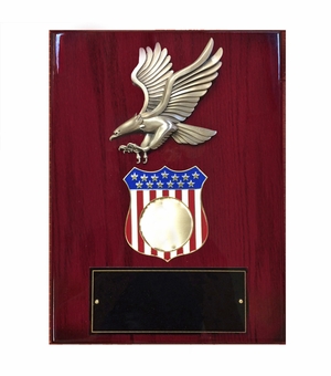 9 X 12 INCH EAGLE AND AMERICAN SHIELD PLAQUE HOLDS 2 INCH MILITARY INSERT