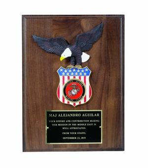 9 X 12 INCH EAGLE PLAQUE WALNUT FINISH TAKES 2 INCH  MEDALLION