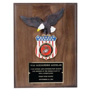 9 X 12 INCH EAGLE PLAQUE WALNUT FINISH TAKES 2 INCH  MEDALLION