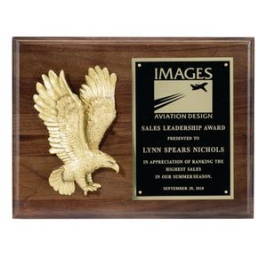 9 X 12 INCH EAGLE PLAQUE WITH BLACK PLATE - MULTIPLE FINISHES