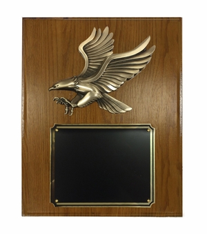 9 X 12 INCH LARGE SIZE MODERN EAGLE PLAQUE