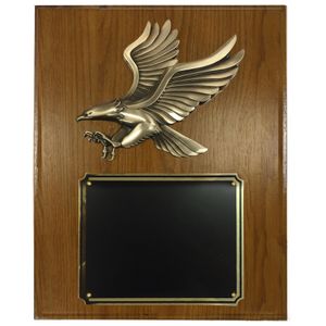 9 X 12 INCH LARGE SIZE MODERN EAGLE PLAQUE