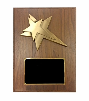 9 X 12 INCH LARGE SIZE MODERN STAR PLAQUE
