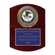 9 x 12 Inch Piano Finish Rose Wood Plaque With 4 Inch Department of Justice Medallion Insert