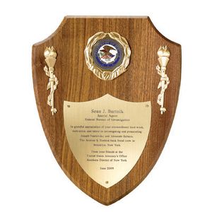 9 X 12 INCH SHIELD PLAQUE TAKES 2 INCH INSERT