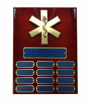 9 X 12 PERPETUAL EMT PARAMEDIC STAR OF LIFE PLAQUE ON PIANO CHERRY FINISH BOARD