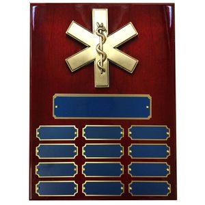 9 X 12 PERPETUAL EMT PARAMEDIC STAR OF LIFE PLAQUE ON PIANO CHERRY FINISH BOARD