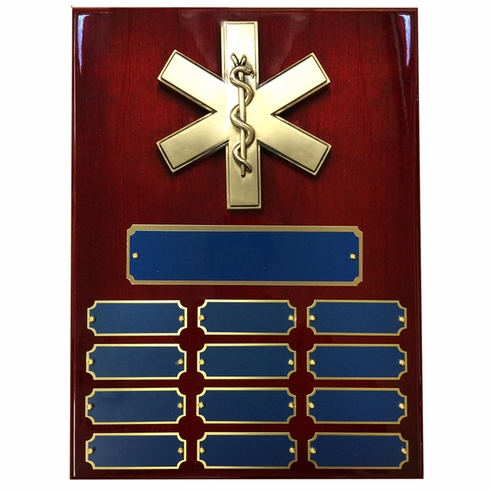 9 X 12 PERPETUAL EMT PARAMEDIC STAR OF LIFE PLAQUE ON PIANO CHERRY FINISH BOARD