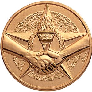 2-Inch in Diameter Round Stamped Metal Achievement Insert in Gold