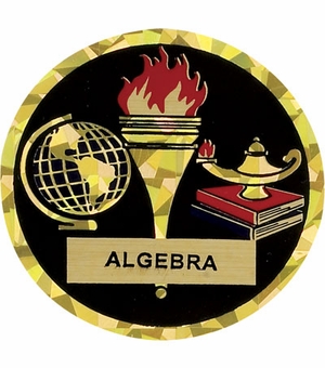 2 Inch in Diameter Round Algebra Themed Insert with Mylar Detailing