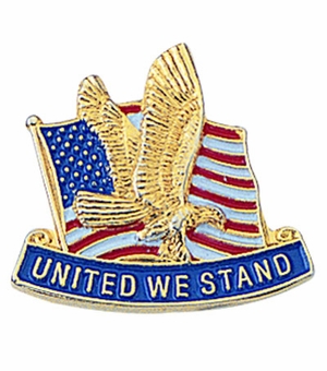 AMERICAN FLAG & EAGLE PIN