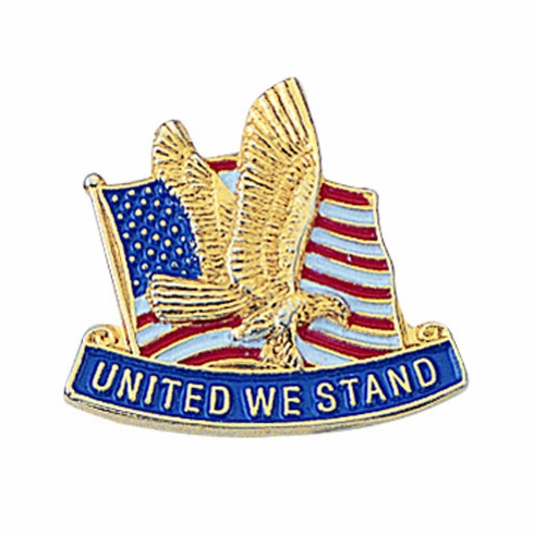 AMERICAN FLAG & EAGLE PIN