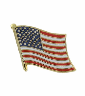 1/2 Inch in Height Die-Struck Enameled Gold Plated USA Flag Pin