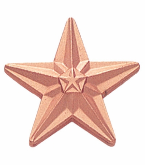 3/4 Inch Polished Die-Struck Bronze Star Pin with Sandblasted Finish