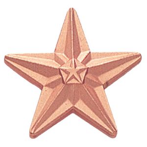 BRONZE STAR PIN 3/4 INCH