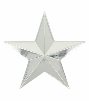CAST 3D GOLD STAR PLAQUE MOUNT, 3-1/4 INCHES
