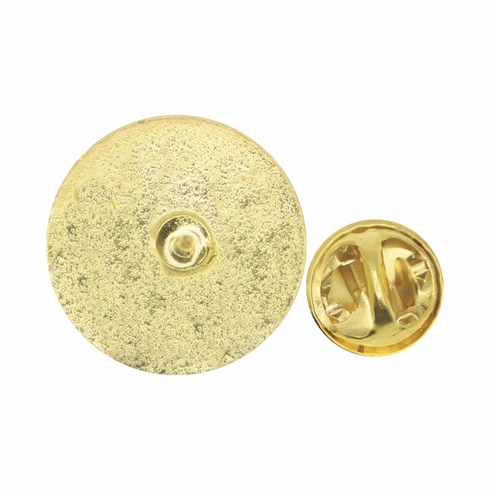 CELEBRATING EXCELLENCE PIN