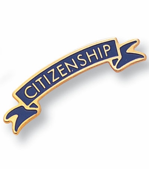 1/4 Inch in Height Enameled Citizenship Pin in Gold
