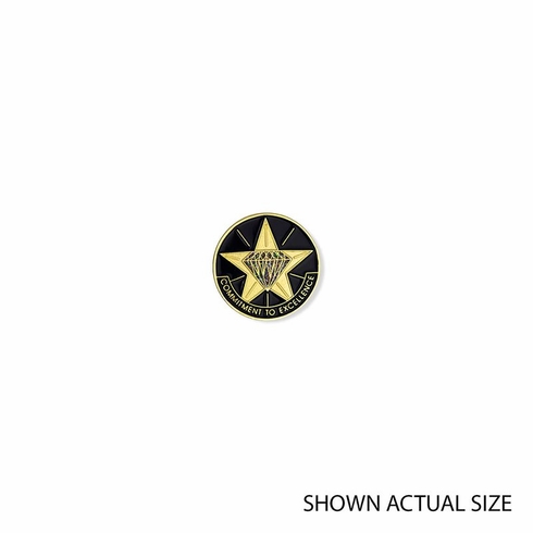 COMMITMENT TO EXCELLENCE PIN
