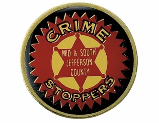 CRIME FIGHTER PIN