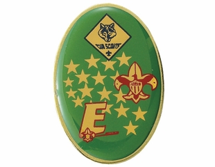 CUB SCOUT PIN