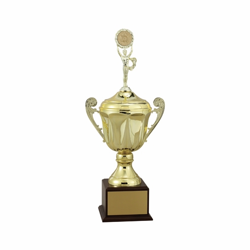 CUP WITH LID ON BASE 25 INCH  SILVER