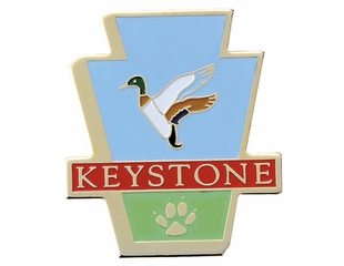 Custom Photo Etched Soft Enameled Lapel Pins