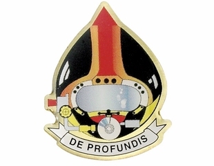 DE PROFUNDIS PIN