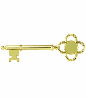 DIE CAST METAL GOLD KEY TAKES INSERT, 8 X 2-5/8