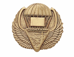 Die-Struck Custom Lapel Pins With Three Dimensional Modeled Designs