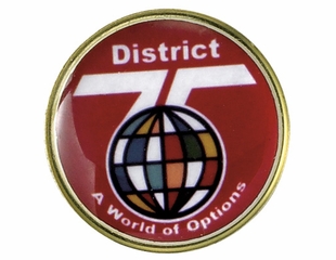 DISTRICT 75 A WORLD OF OPTIONS PIN