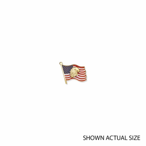 EAGLE & AMERICAN FLAG PIN
